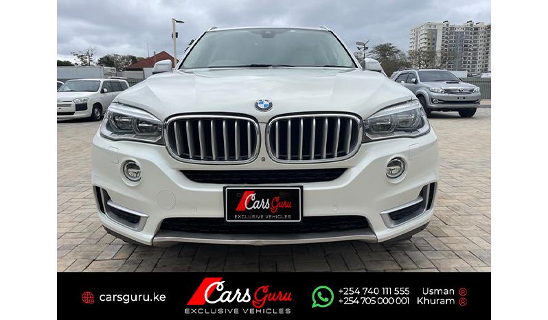 2014 BMW X Series X5