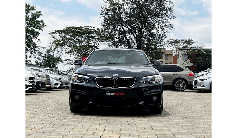 2017 BMW 2 Series 220i