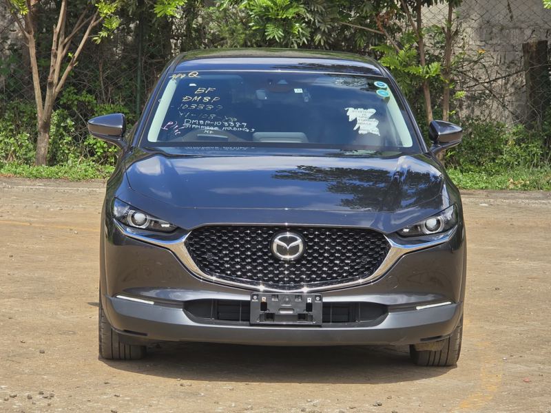 Mazda Cx30 2019