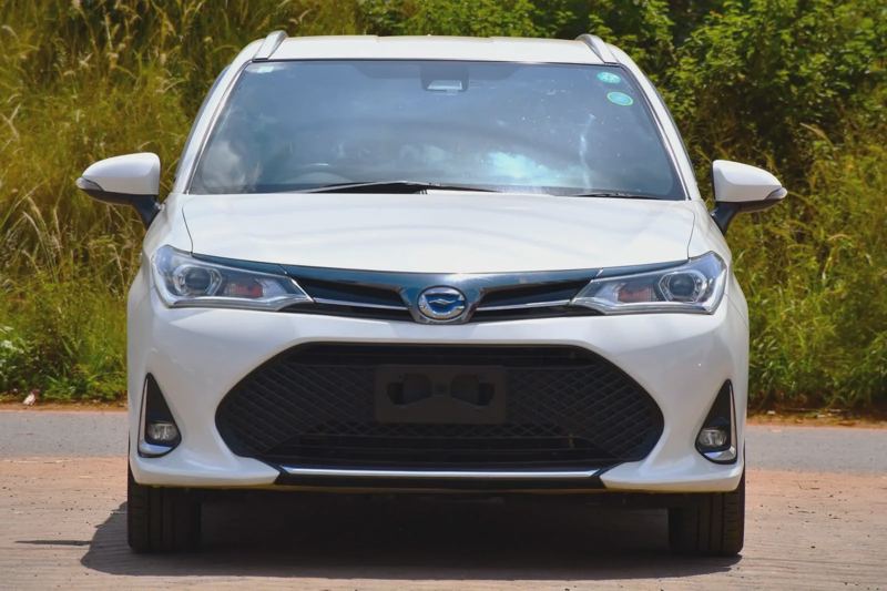 2019 Toyota Corolla Fielder WXB Hybrid