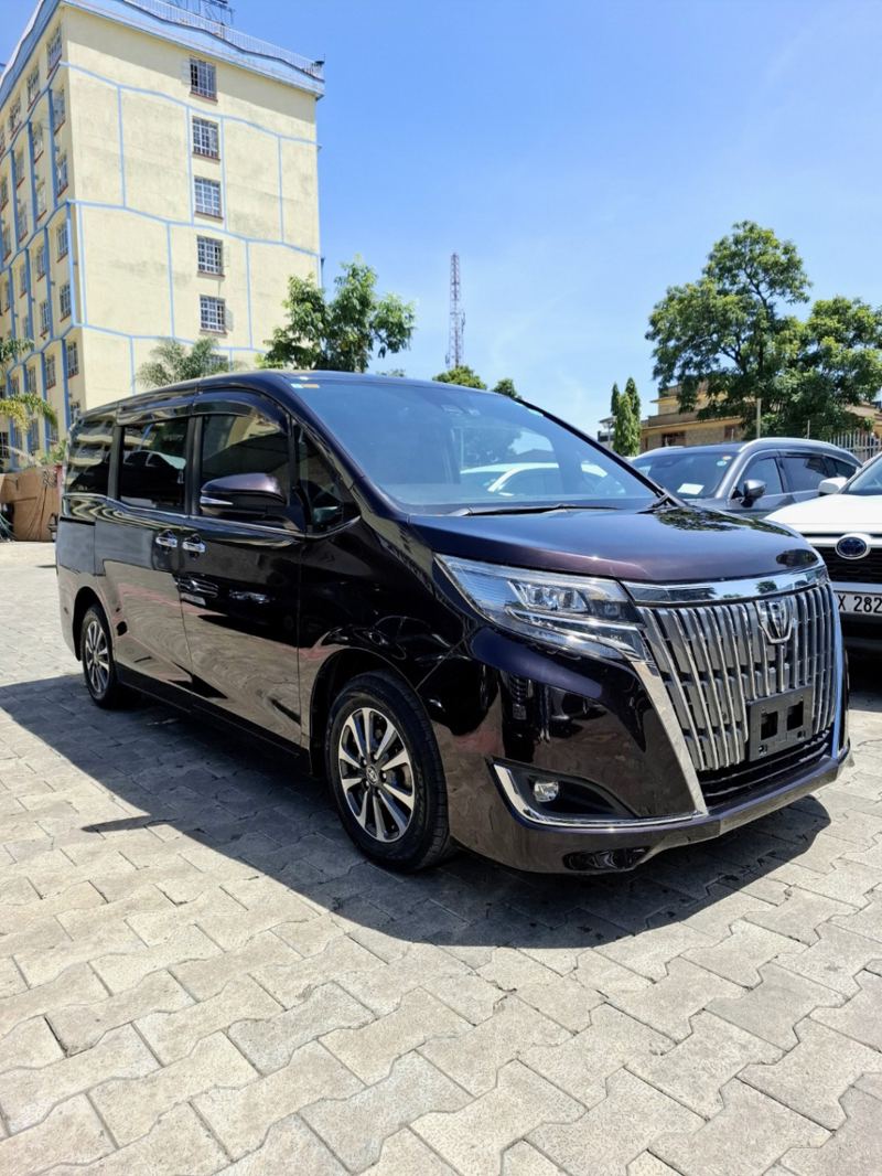 2019 TOYOTA ESQUIRE BR/L