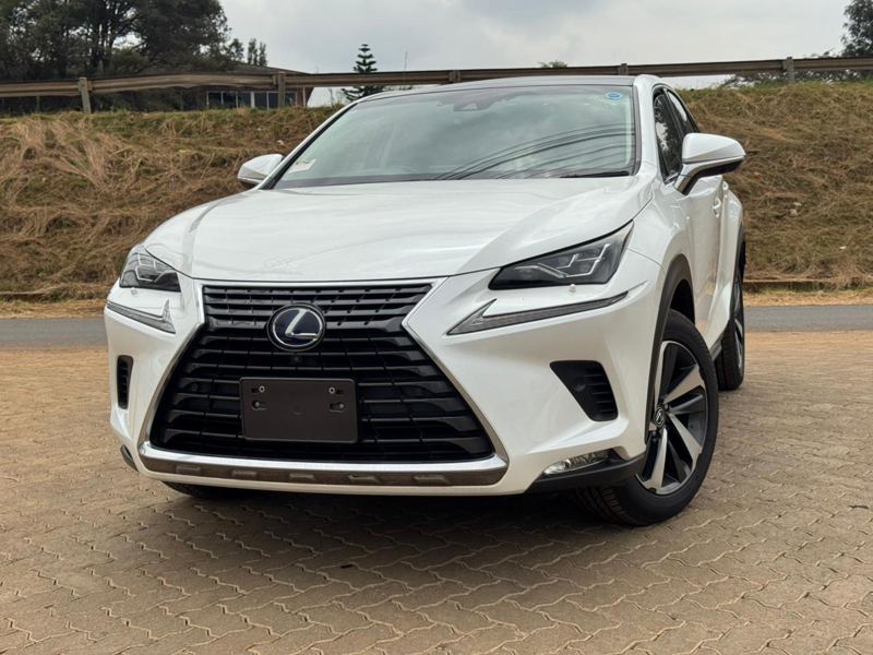 2019- Lexus NX300- White