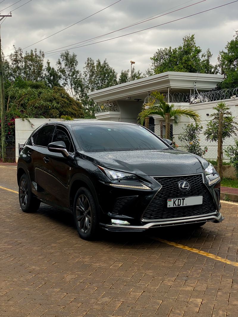 Lexus NX 300h