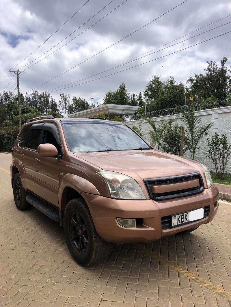 2009 Toyota Land Cruiser J100 Series (Cruiser)