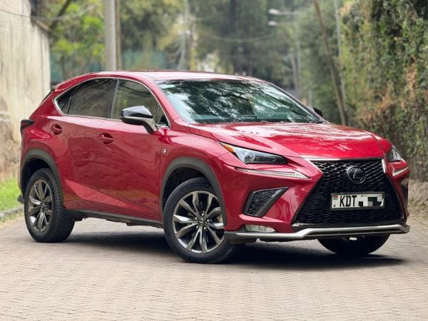 2019 Lexus NX